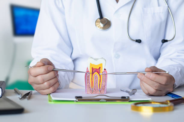 Best Urgent Care for Lost Fillings or Crowns in Oak Hill, TN